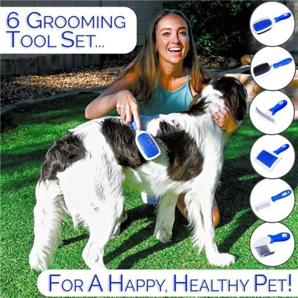 6 In 1 Premium Dog Brush Set - Dog Grooming Brushes - Ball Pin & Bristle Brush
